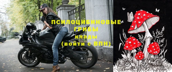 гашик Арсеньев