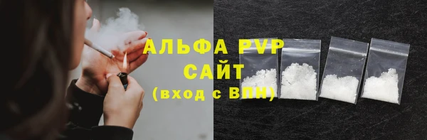 гашик Арсеньев