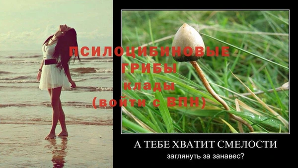 Альфа ПВП Аркадак