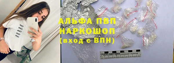 гашик Арсеньев