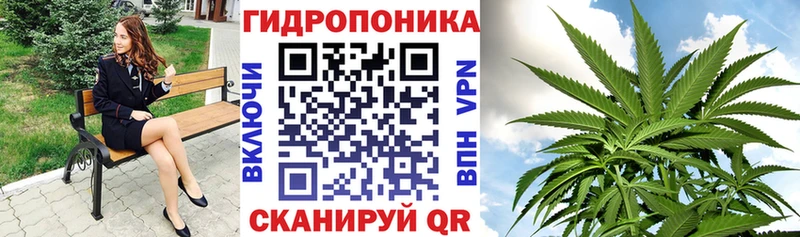 Канабис LSD WEED Ртищево